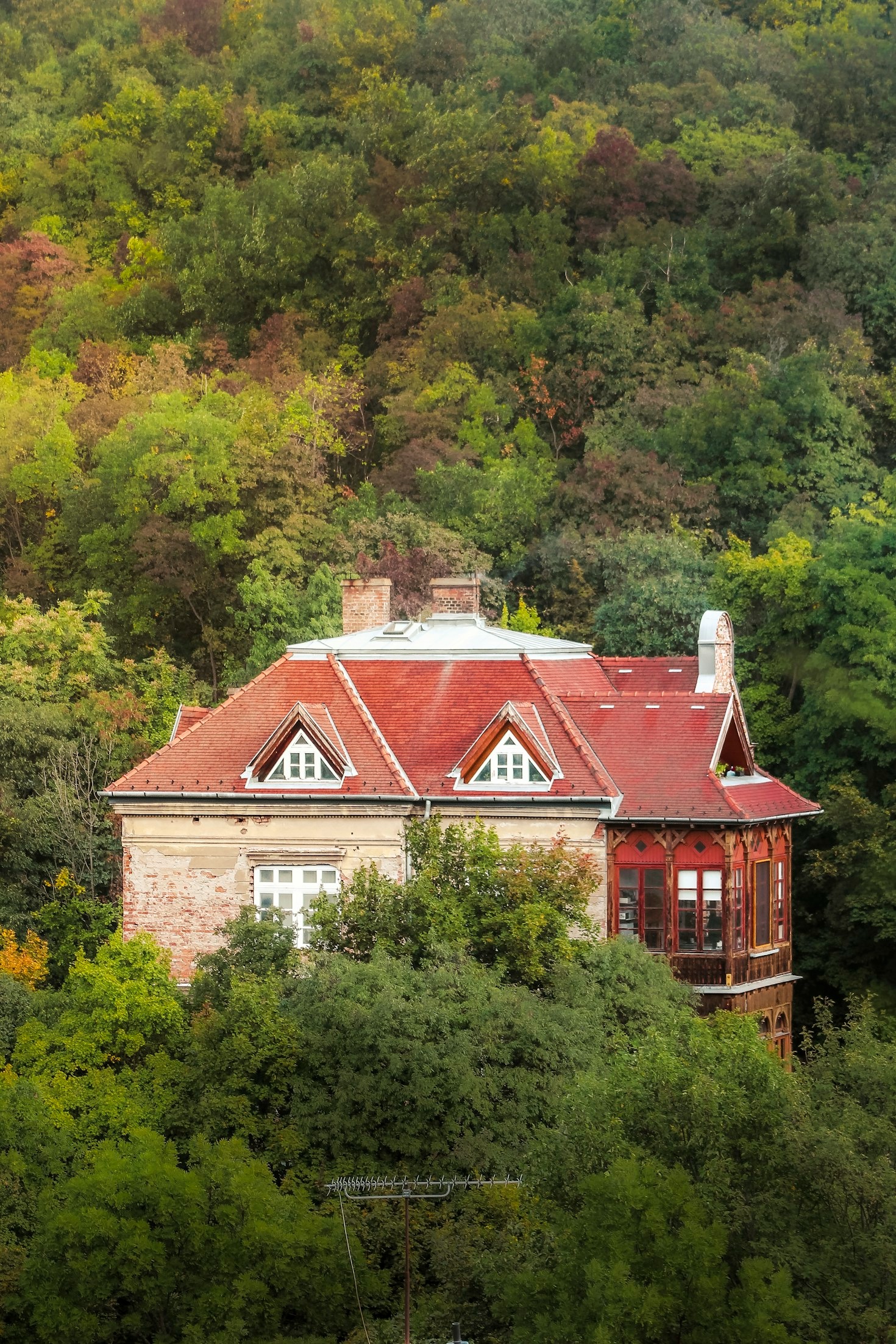 Top 5 Signs Your Roof Needs Immediate Attention